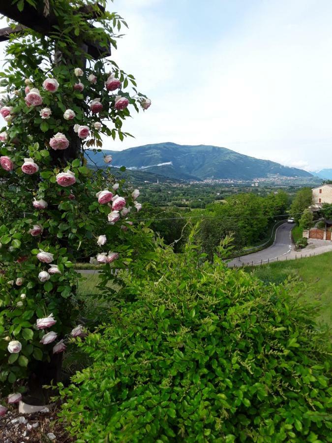 Locanda Bellavista Cavaso Del Tomba Екстериор снимка
